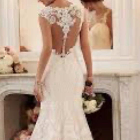 Stella York Bridal Gown - Picture 5 of 5